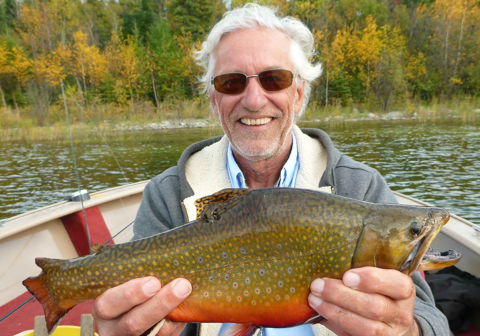 Manitoba Fish Species on the Fly Lake trout on a fly