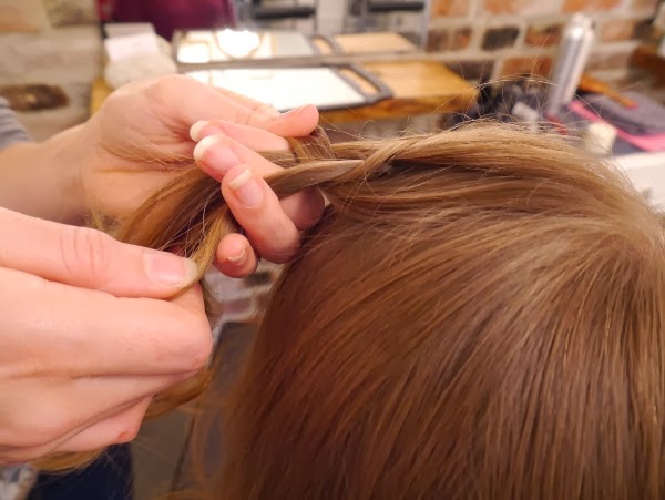 TRiM Holiday Hair Tutorial #2: The 3D Braid Updo - Solo Lisa