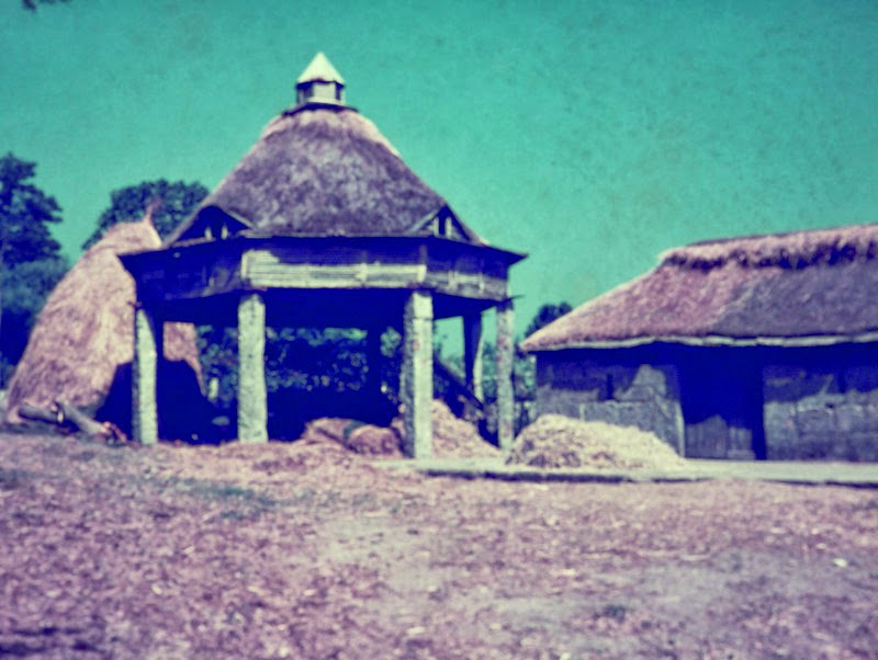 Canastro 1850 capitão antonio vieira