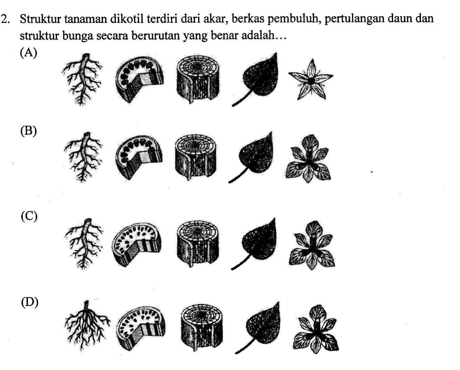 Rumah Kaca Membahas Soal Osn Biologi Smp Tk Kab Kota 2013 Sambil