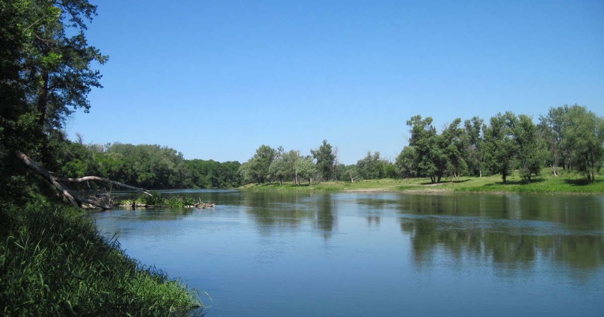 Рыбалка на северском донце. Рыбы северского донца. Рыбалка на северском донце луганская область. Северский донец рыбалка. Огибь ростовская область.