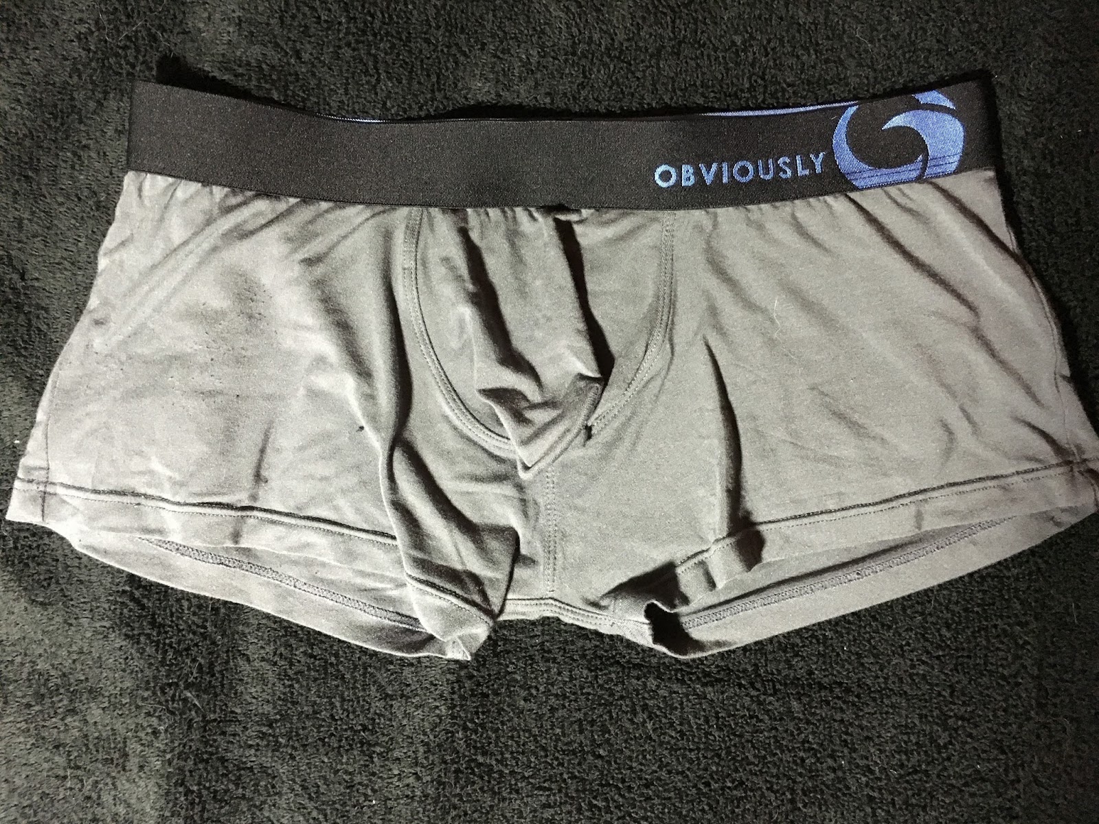 Well-Endowed Underwear Review: Obviously Essence AnatoFREE Hipster Trunk
