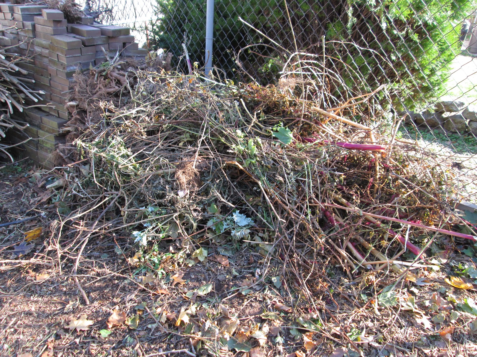 Ecofrugal Living Conservation of Yard Waste