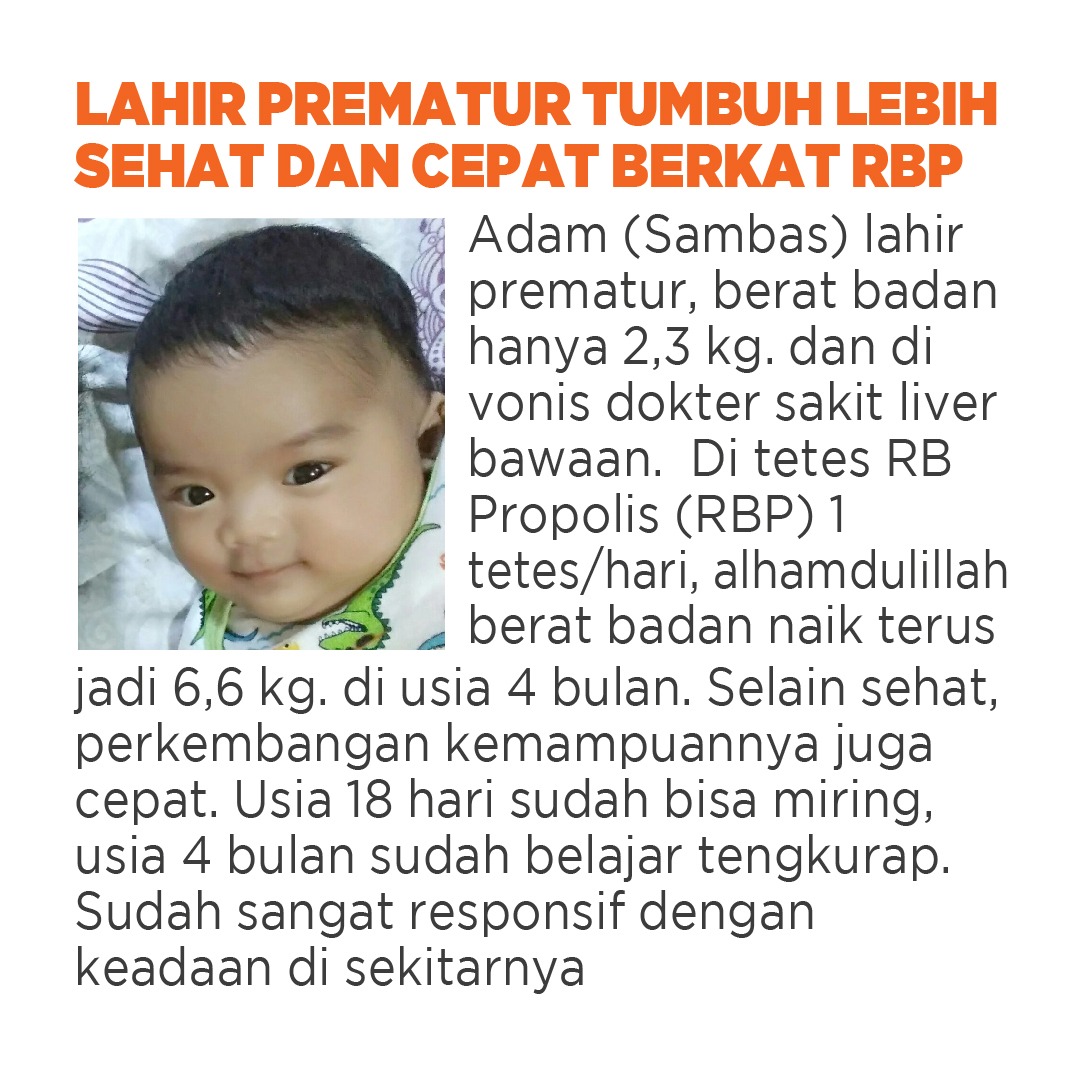 Manfaat Propolis untuk Bayi yang Harus Anda Ketahui ...