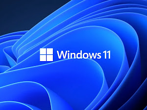 Windows 11 Pro Insider Preview 10.0.22000.51 Free Download