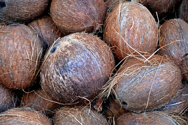 serat kelapa