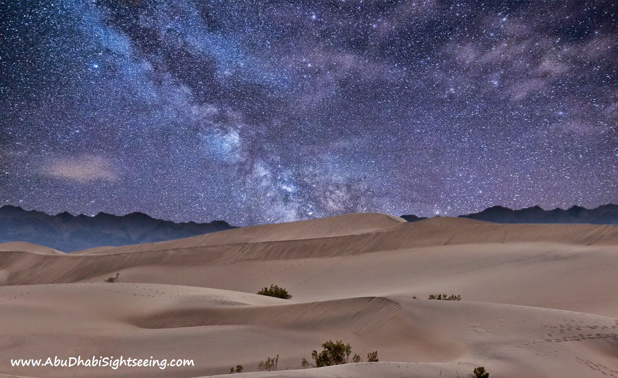 Five Resons to Not to Miss Abu Dhabi Desert Safari