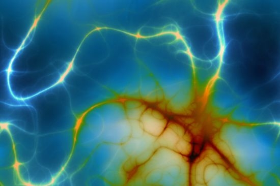  neurons electrified photo 