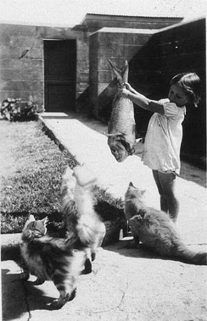 pictures Antique nude