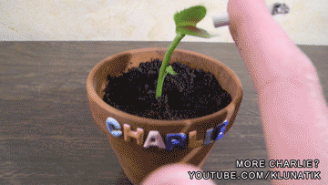 venus-flytrap-plant-smoking-cigarette.gif
