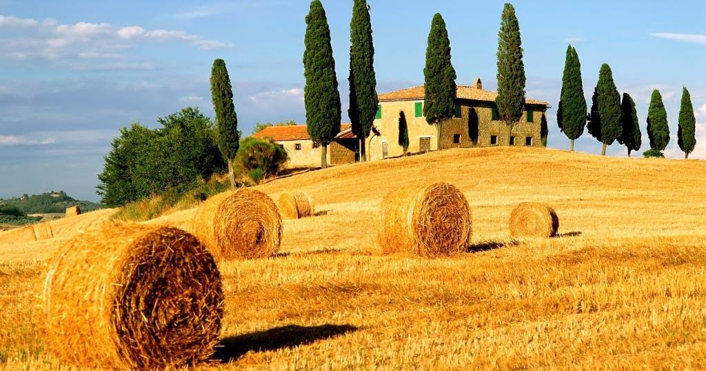 Die Landwirtschaft aller Länder: Italien