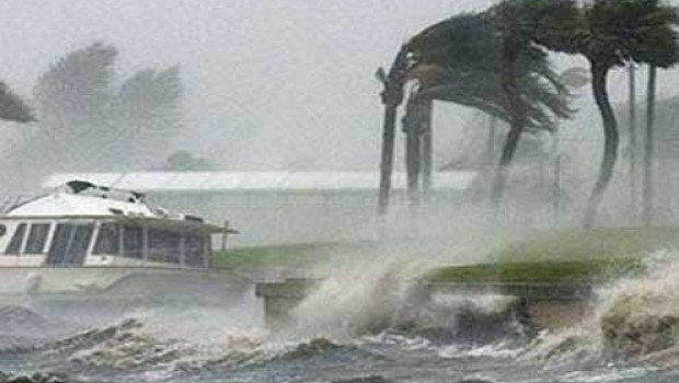 biogeo9valles: 2ª PREGUNTA 1º TRIMESTRE CURSO 2016-17