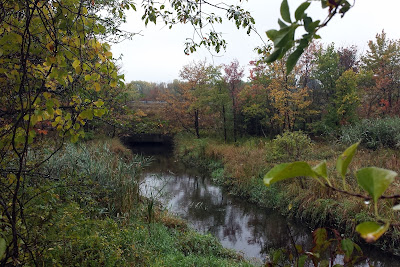 Mine Brook as it wends its way along the wetlands between i495 and Pond St