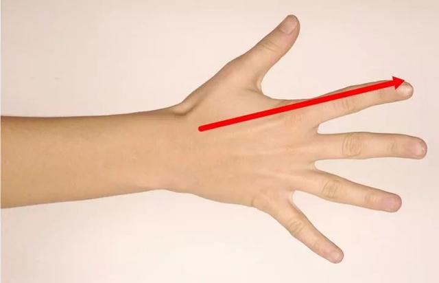 手，是身體的恢復鍵—超實用的手穴療法(手到病除)