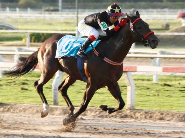 Touareg corre hoy el Clásico 9 de Julio en La Plata Touareg Easing Along
