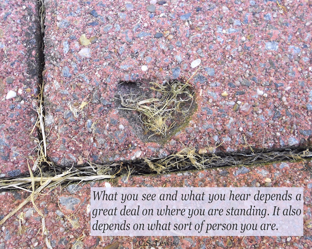 What you see and what you hear depends a great deal on where you are standing. It also depends on what sort of person you are. - C.S. Lewis