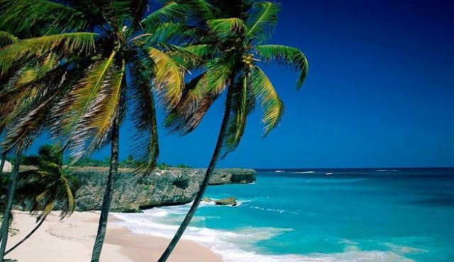 La Paradisíaca Bahía Bottom En Barbados Ecomundo