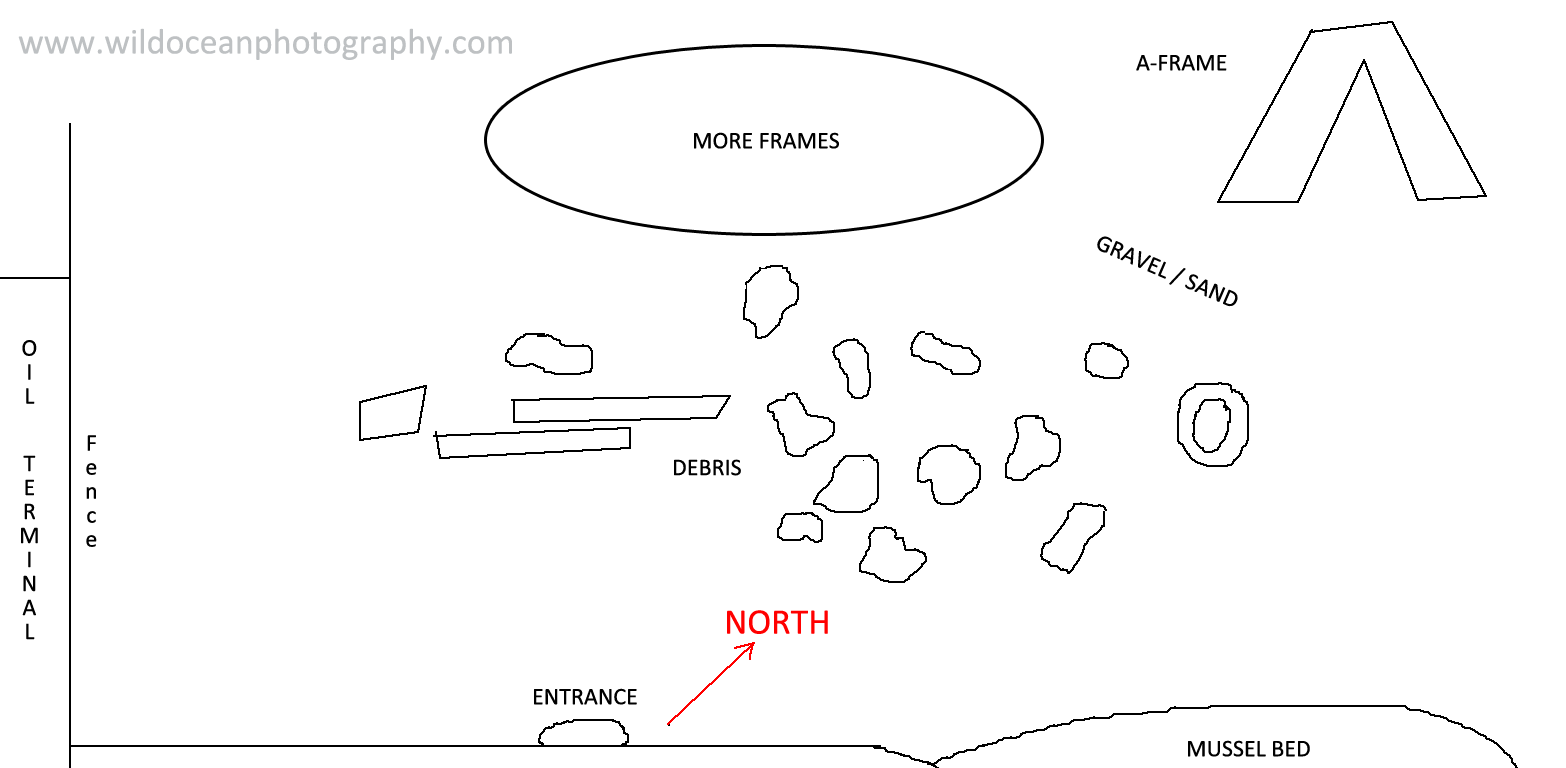 Adventures Of A Marine Biologist Dive Guide Frames Loch Long Approximate Map Of A Frames Dive Site To Enlarge