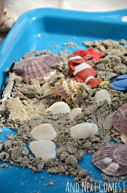 Sand dough recipe with seashells on a blue tray