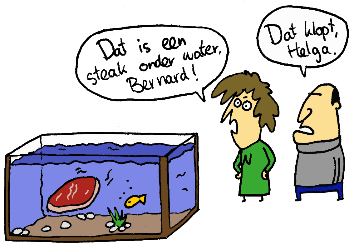 Steek-onder-water.jpg