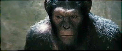 close up still photo of Caesar from planet of the Apes