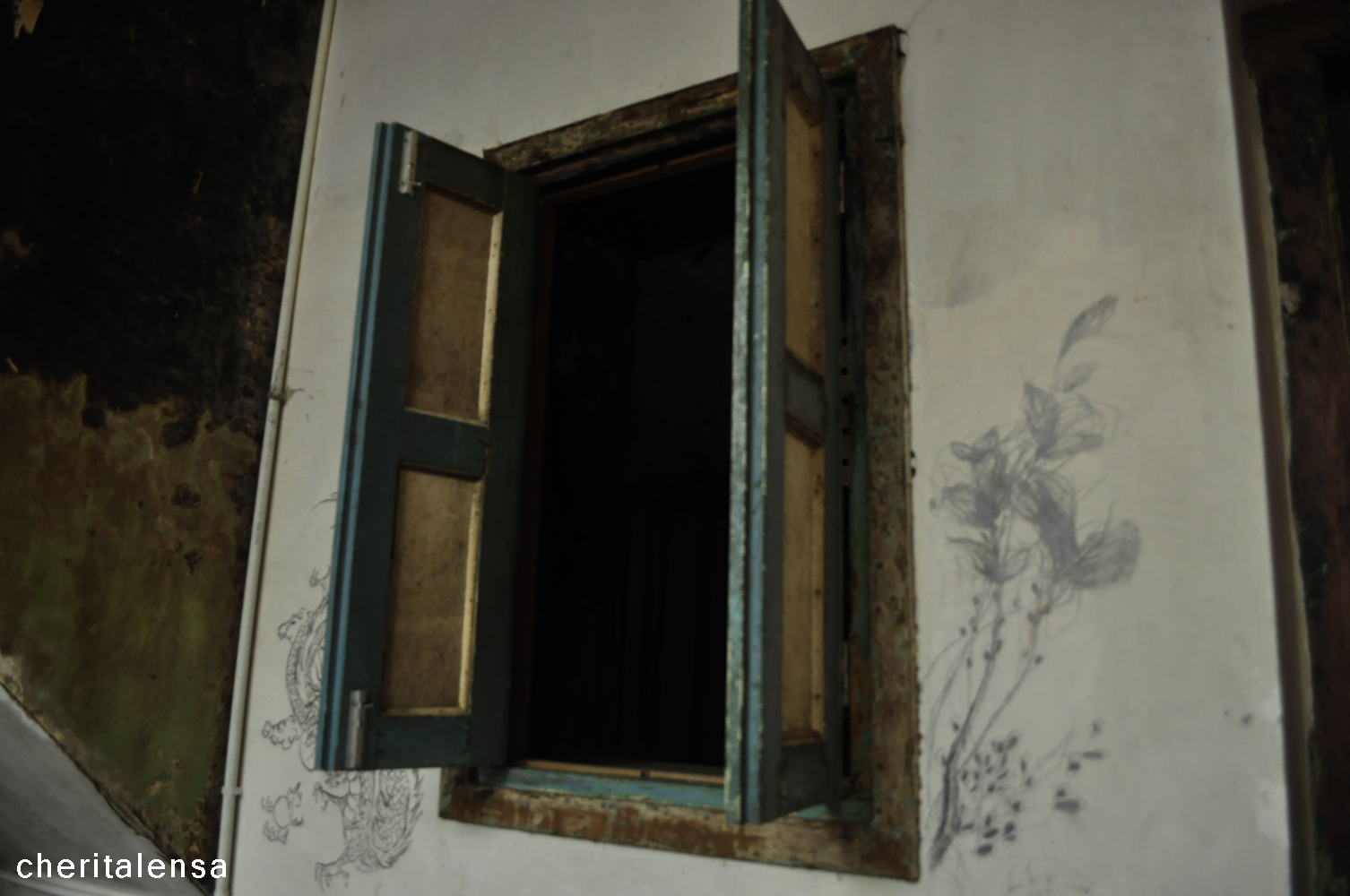 CHERITA LENSA: TINGKAP KAYU