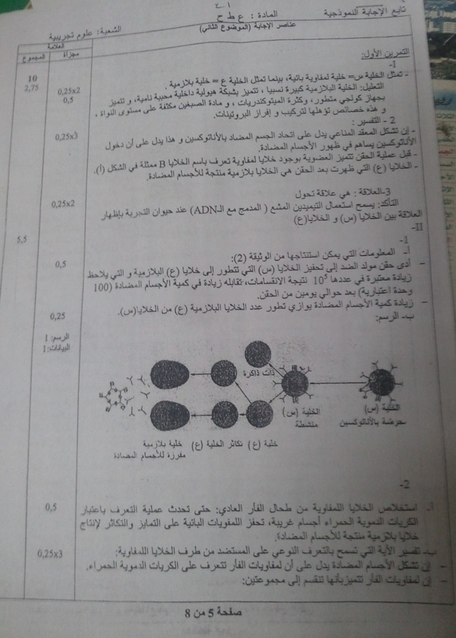 العلوم الطبيعية العلوم الطبيعية