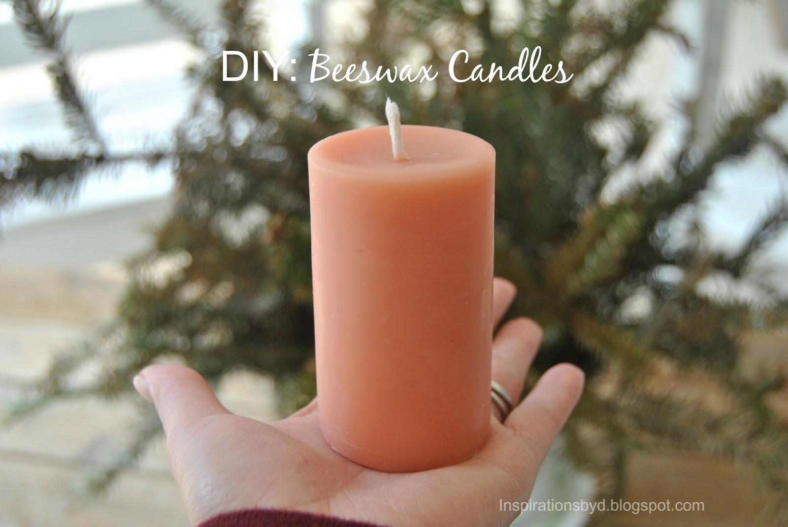 Inspirations by D DIY Beeswax Candles