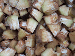 toran chakka february tender tips