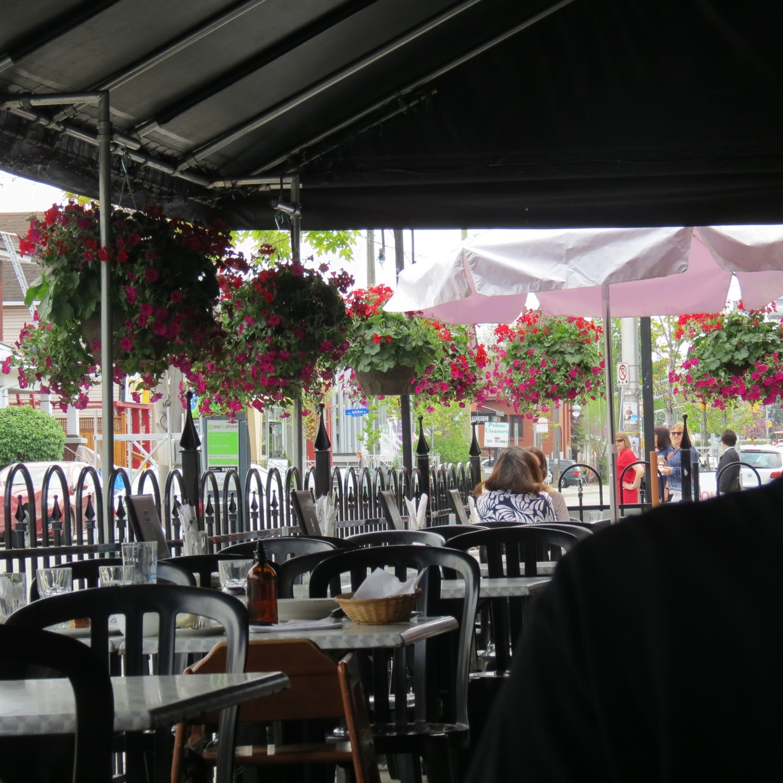 Adventures in PEI and Beyond! Lunch at Little Italy in Ottawa