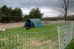 chicken panel cattle coop