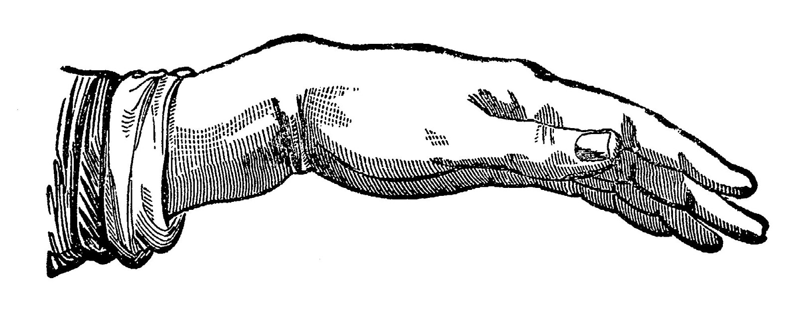 Digital Stamp Design Vintage Hand Image Illustration Anatomy Clip Art