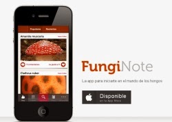Funginote, una aplicación móvil para conocer y distinguir setas y hongos