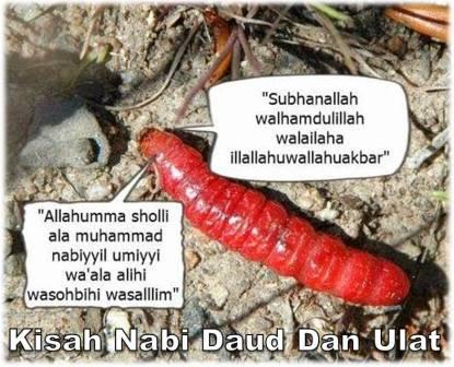 Kisah Nabi Daud Dan Ulat Dunia Nabi Kisah Nabi Daud Dan Ulat Dunia Nabi