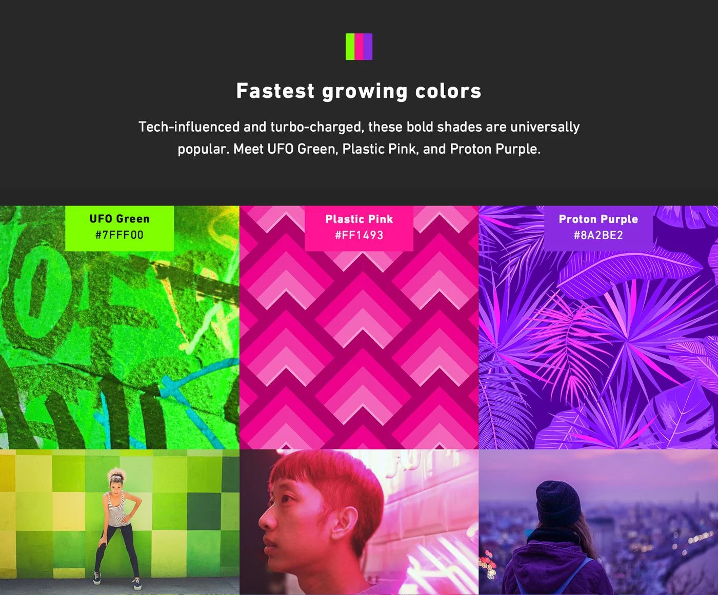 Shutterstock’s 2019 Color Trends Infographic Shares Up-And-Coming Hues To Note