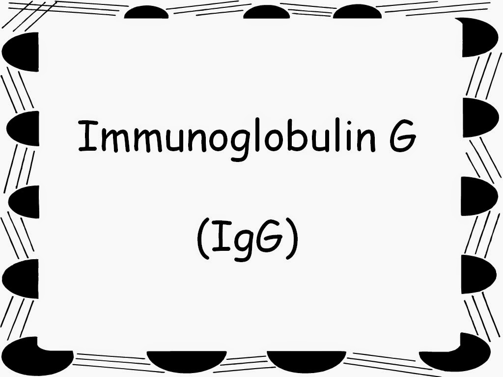 Student Survive 2 Thrive Immunoglobulins and Their Roles Free