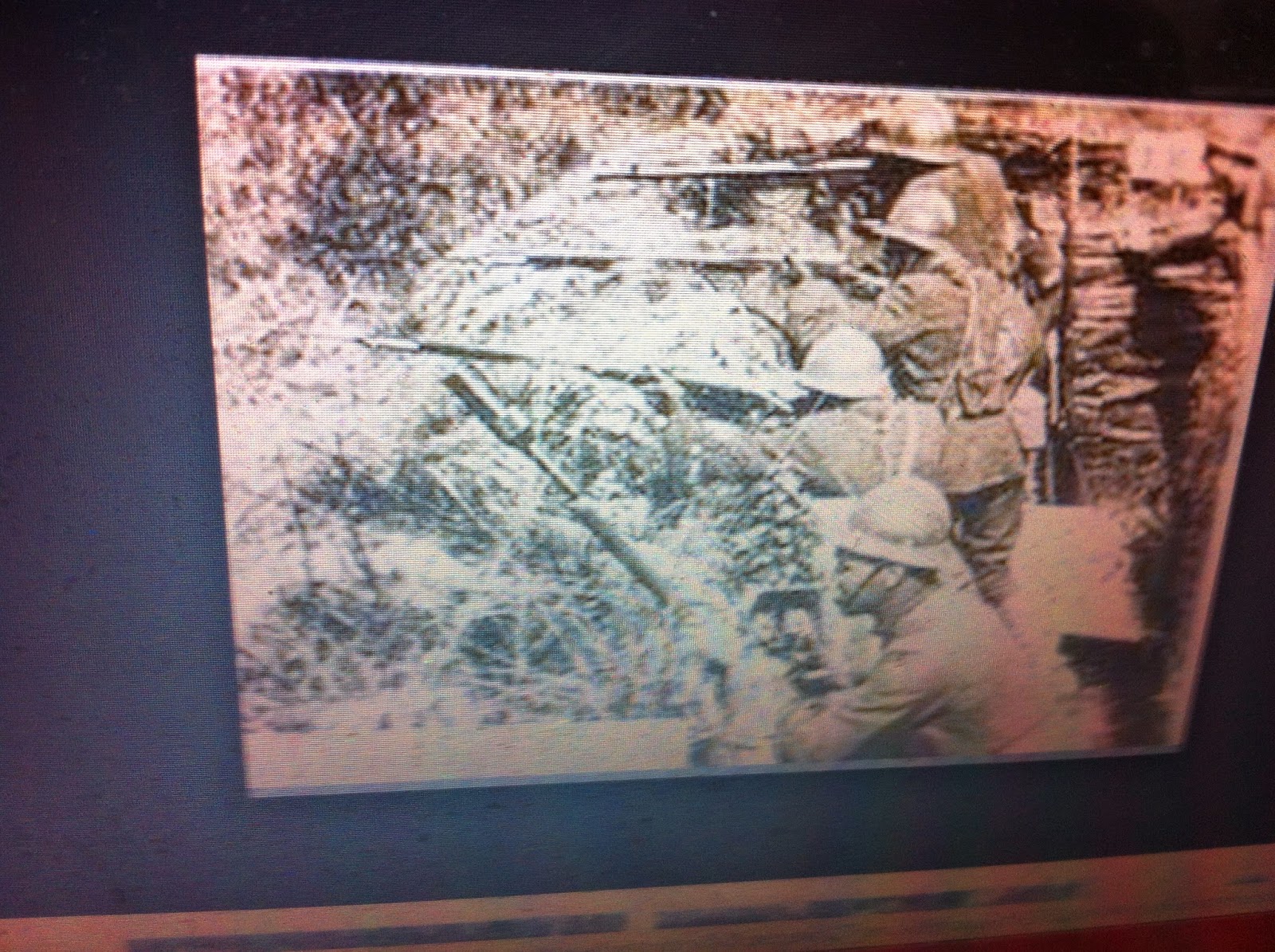 THE BLACK SOCIAL HISTORY:: BLACK SOCIAL HISTORY : THE 369th INFANTRY ...