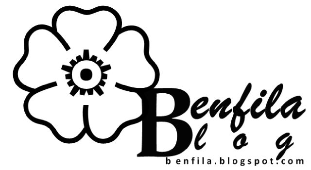  Welcome to Benfila blog,Da Gist.
