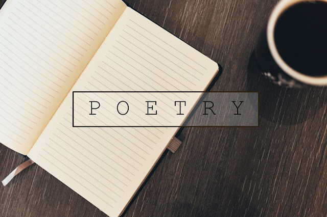 P is for Poetry and Phil Kaye - Amaranthine