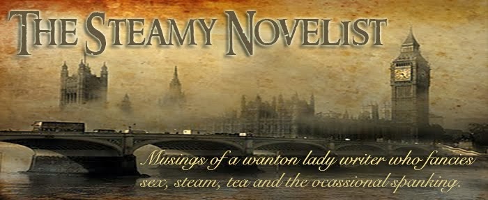 The Steamy Novelist
