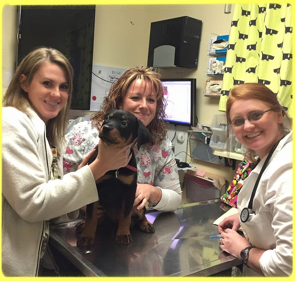 Diary of a RealLife Veterinarian The Price List 2015 Jarrettsville