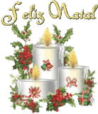 fl1.gif