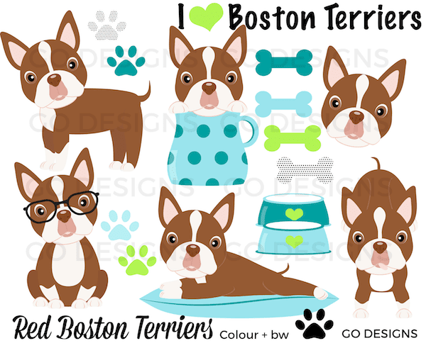 New Boston Terrier Clipart: Black, red, and cream-coloured terriers. Super cute clipart! By GradeONEderfulDesigns.com