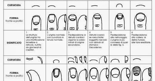 TAGLIA UNGHIE MORSO ANGOLATO - 14 Cm - Foto 6