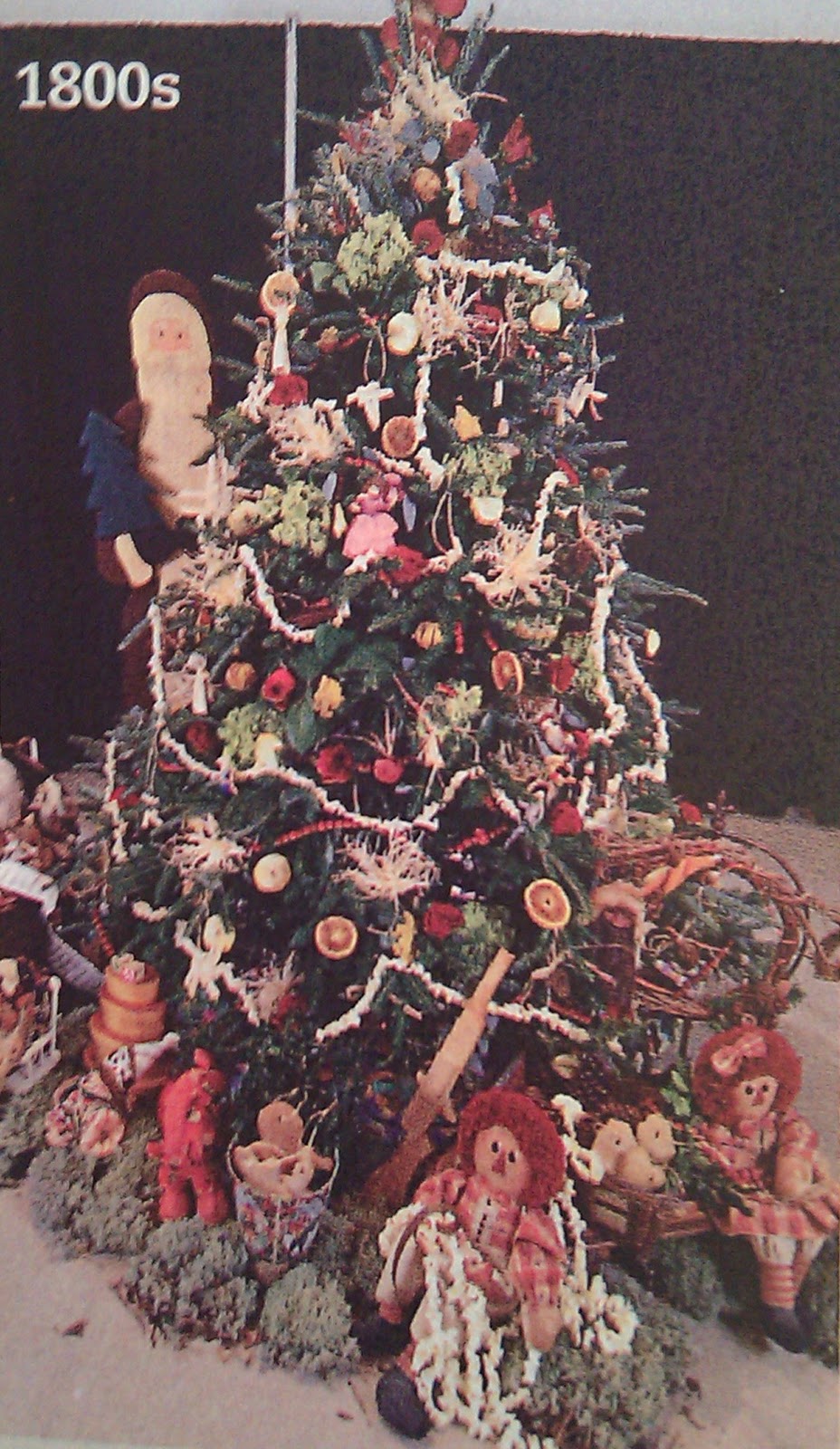 North Carolina Christmas Trees: The First Trees
