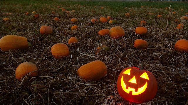 Especial Halloween: 5 películas de zombies que no puedes perderte
