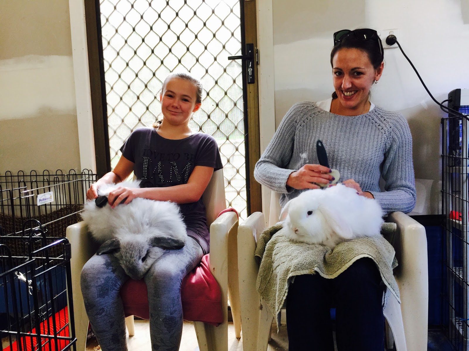 Rabbit Rescue Sanctuary VISIT THE RABBIT RESCUE SANCTUARY & ADOPTION