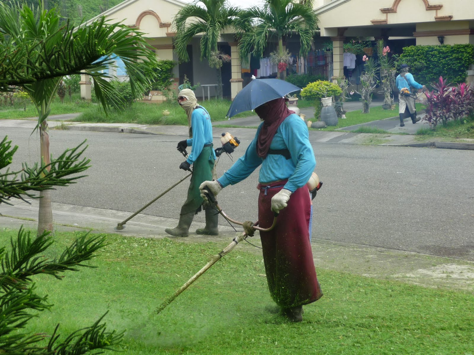 Connie's Chronicles Lawn Mowers in the Philippines