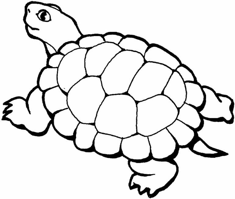 Animal coloring pages title=