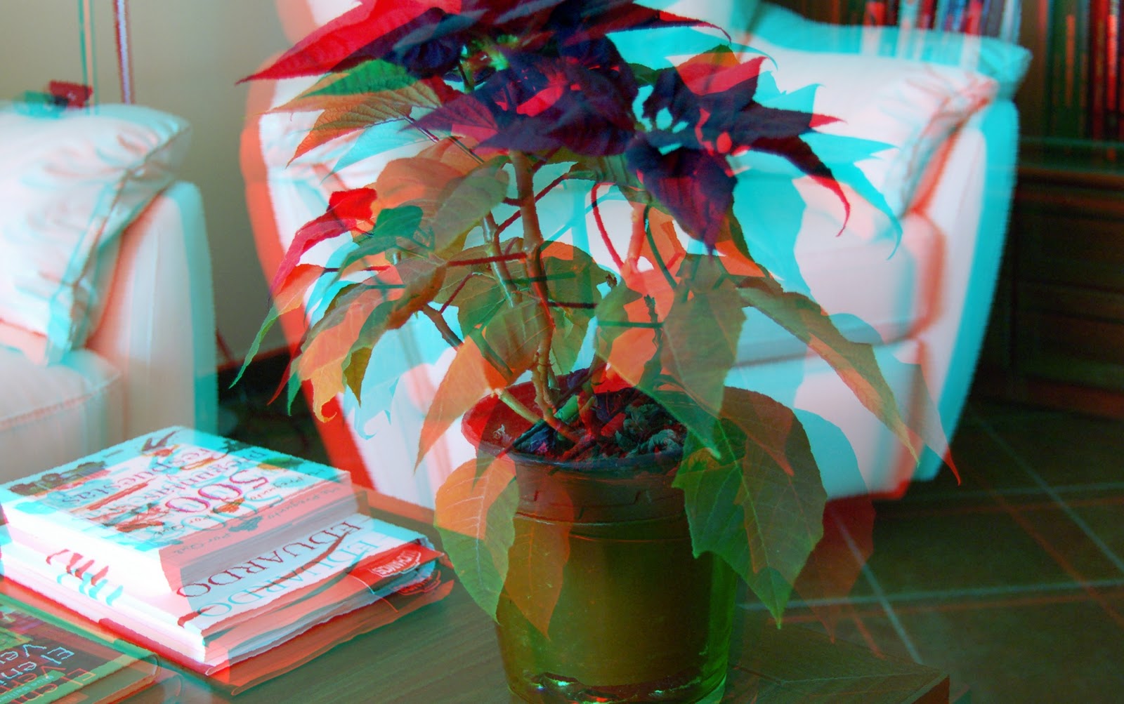 IMAGEN Cómo crear una foto en 3D